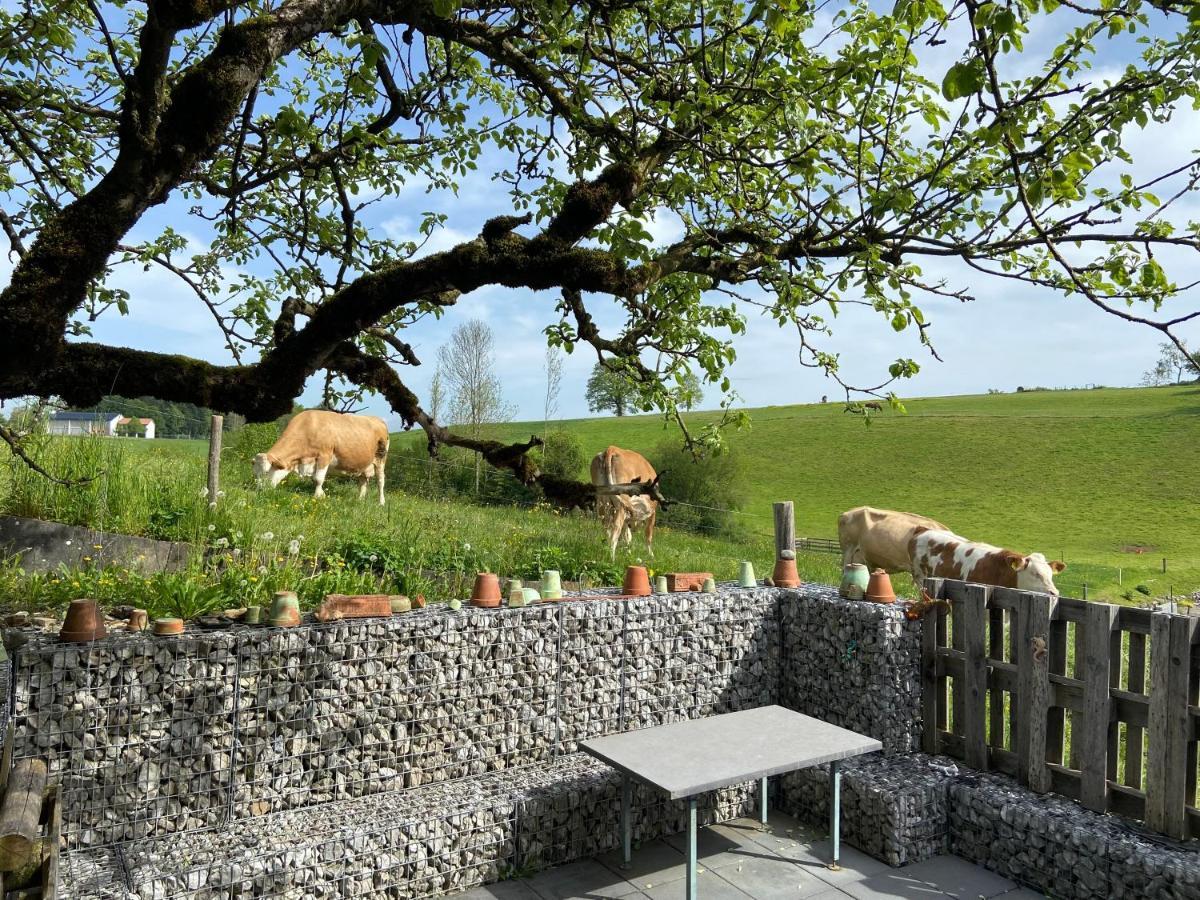 Naturnahe Familienwohnung Ruschegg Exteriér fotografie