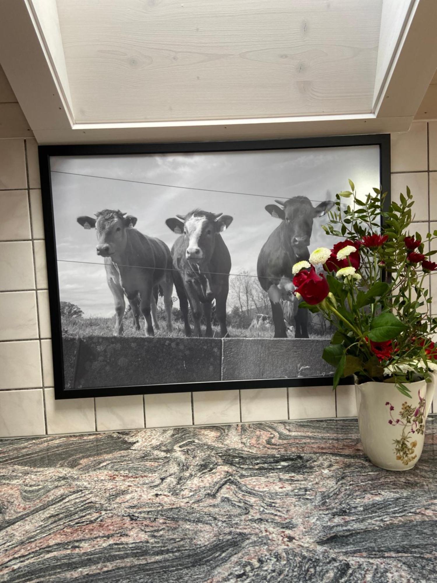 Naturnahe Familienwohnung Ruschegg Exteriér fotografie