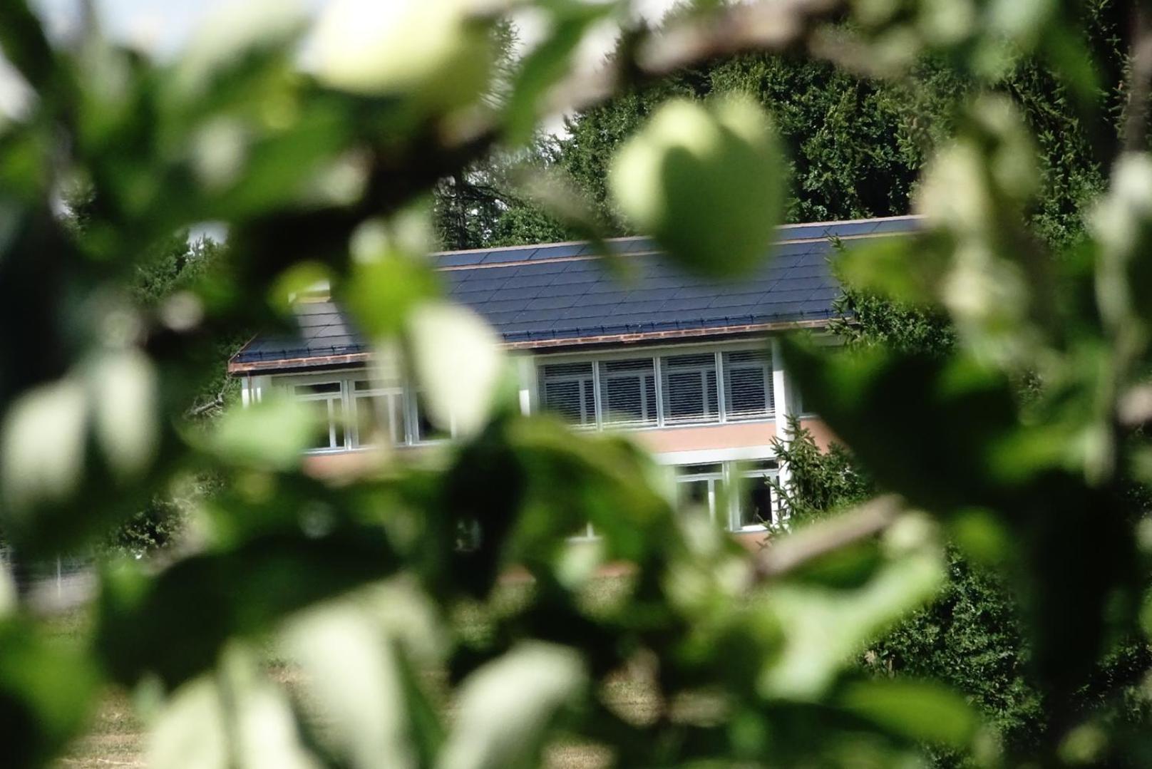 Naturnahe Familienwohnung Ruschegg Exteriér fotografie