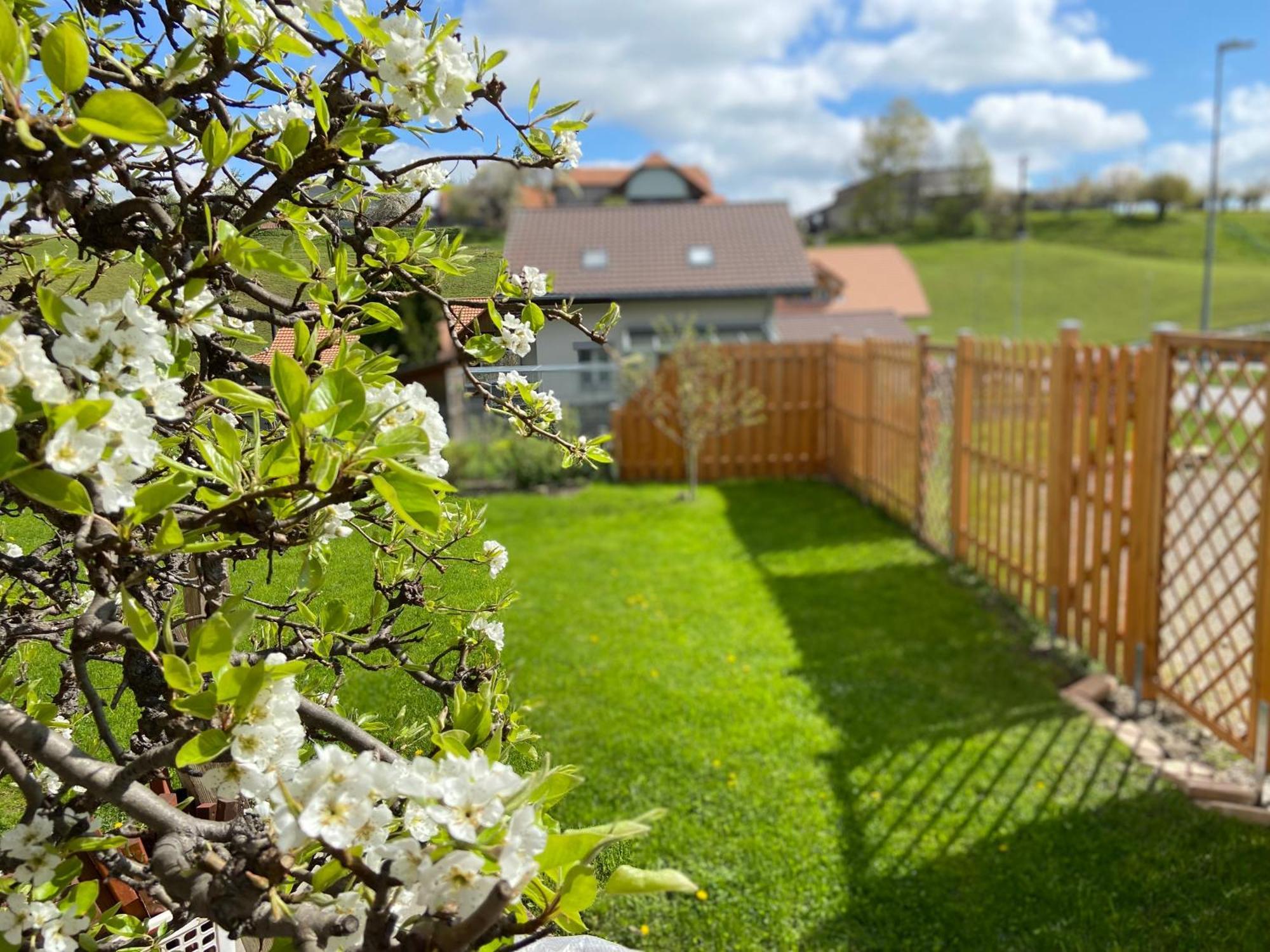 Naturnahe Familienwohnung Ruschegg Exteriér fotografie